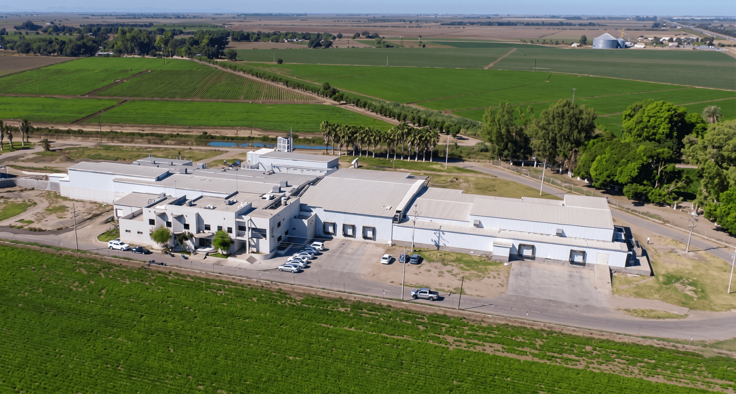 Editorial view of a federally inspected processing facility in Guasave, Sinaloa.