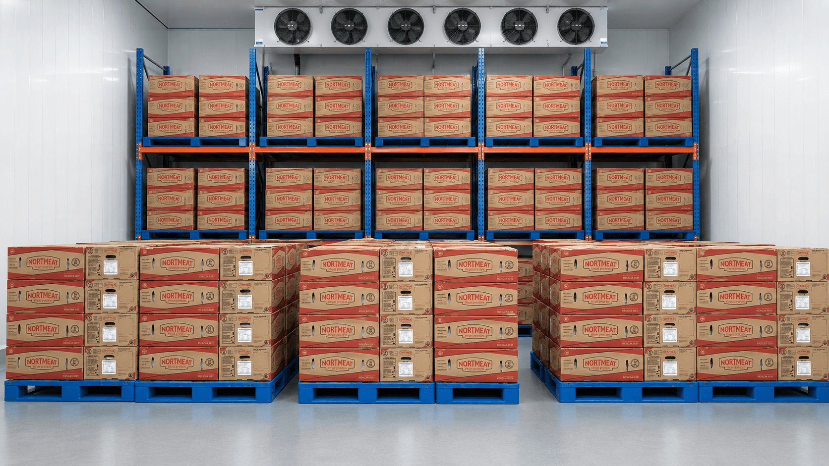 Cold-storage warehouse with stacked pallets.